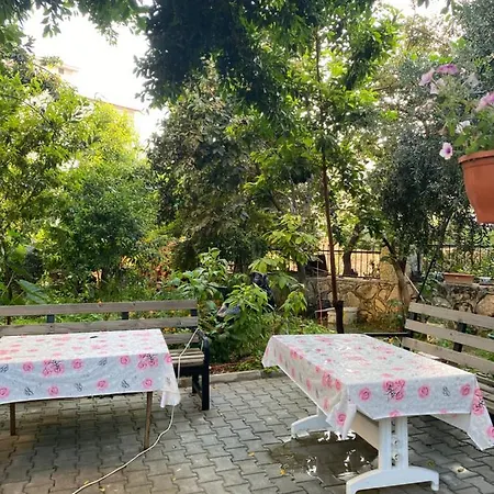 Alanya Avsallar Guenluek Kiralik Daire アパート *